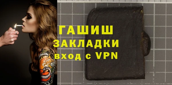 молекула духа Богданович