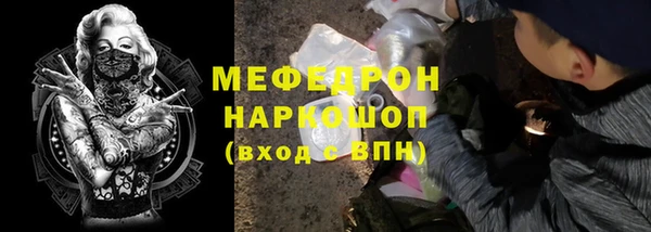 молекула духа Богданович