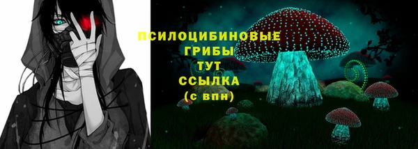 мескалин Богородицк