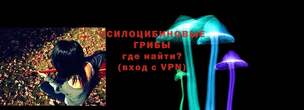 молекула духа Богданович