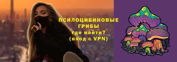 молекула духа Богданович