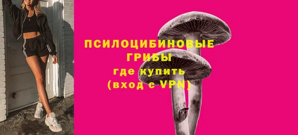 a pvp Богородск