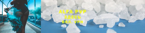 молекула духа Богданович