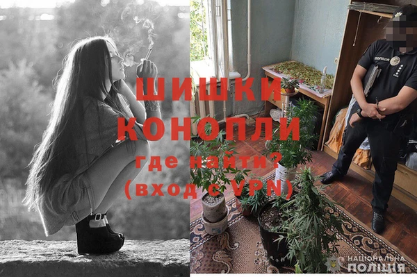 мескалин Богородицк