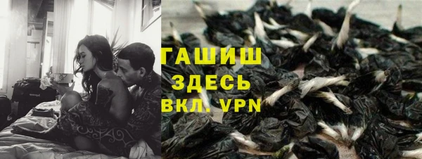 молекула духа Богданович