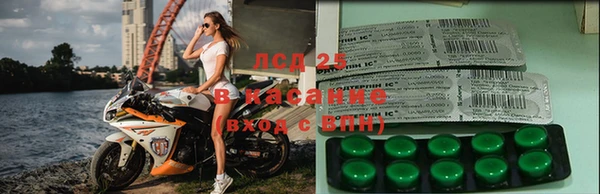 молекула духа Богданович