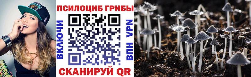 Псилоцибиновые грибы Magic Shrooms  кракен зеркало  Берёзовка  наркота 
